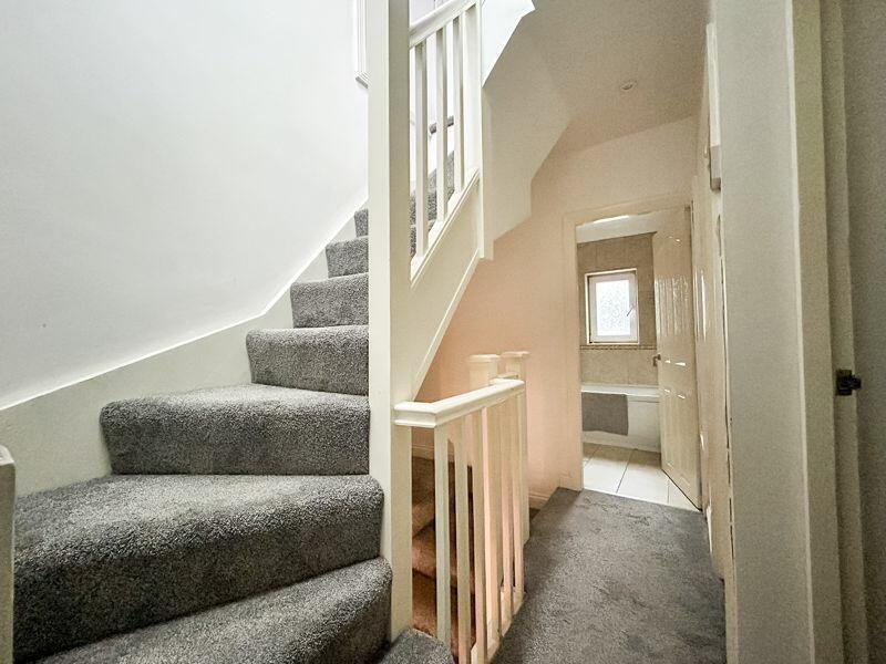 49207 12453686 IMG 30 0000.jpeg