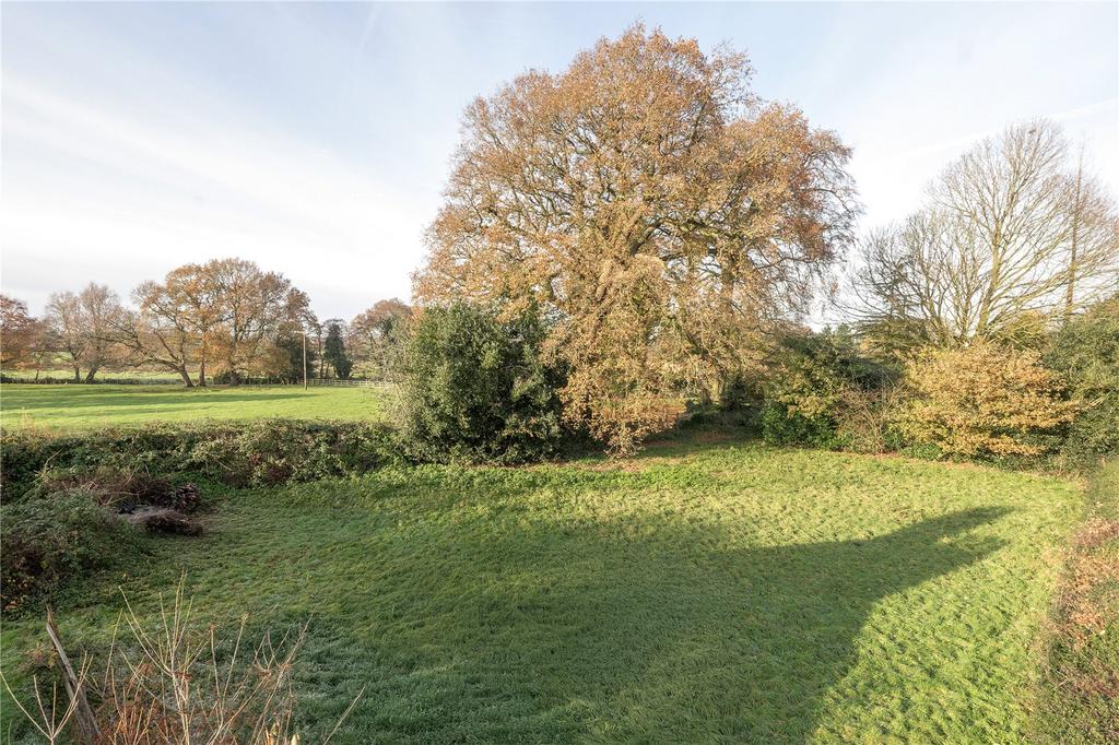 Grounds
