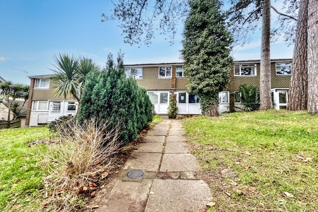 IMG 6335 (Portal Size)