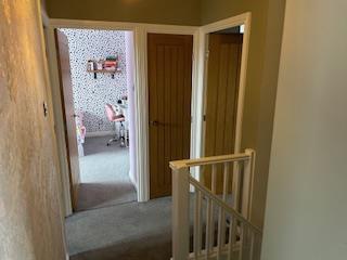 IMG 5262.jpg