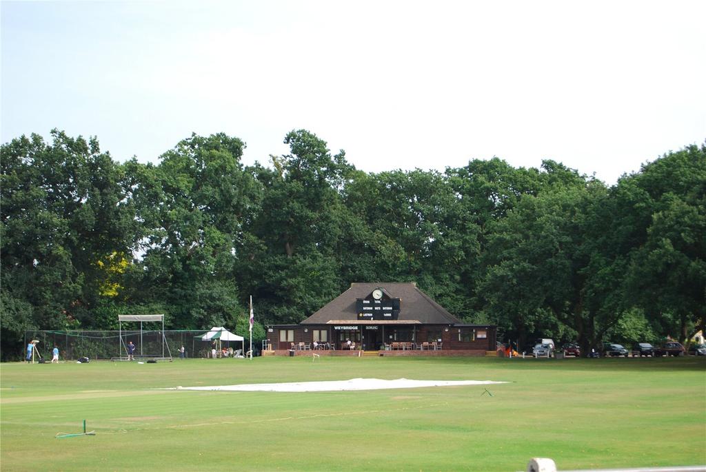Picture No. 17
