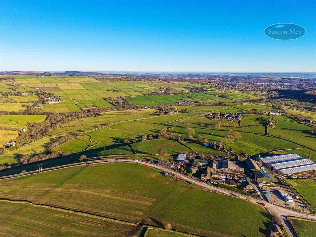 DJI 20250116130900 0194 D copy.jpg