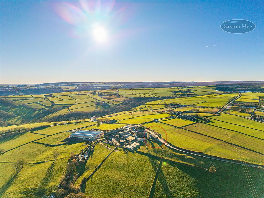 DJI 20250116131047 0201 D copy.jpg