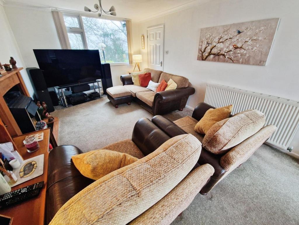 313026a7-20250116 095244.jpg