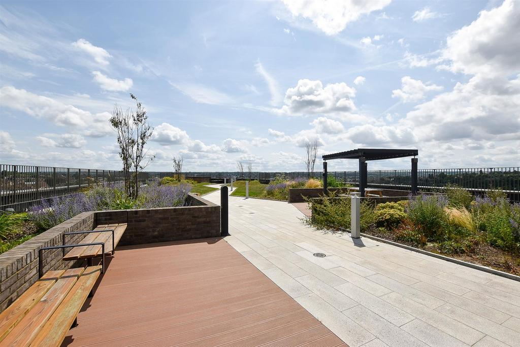 ## Roof Top Garden...jpg