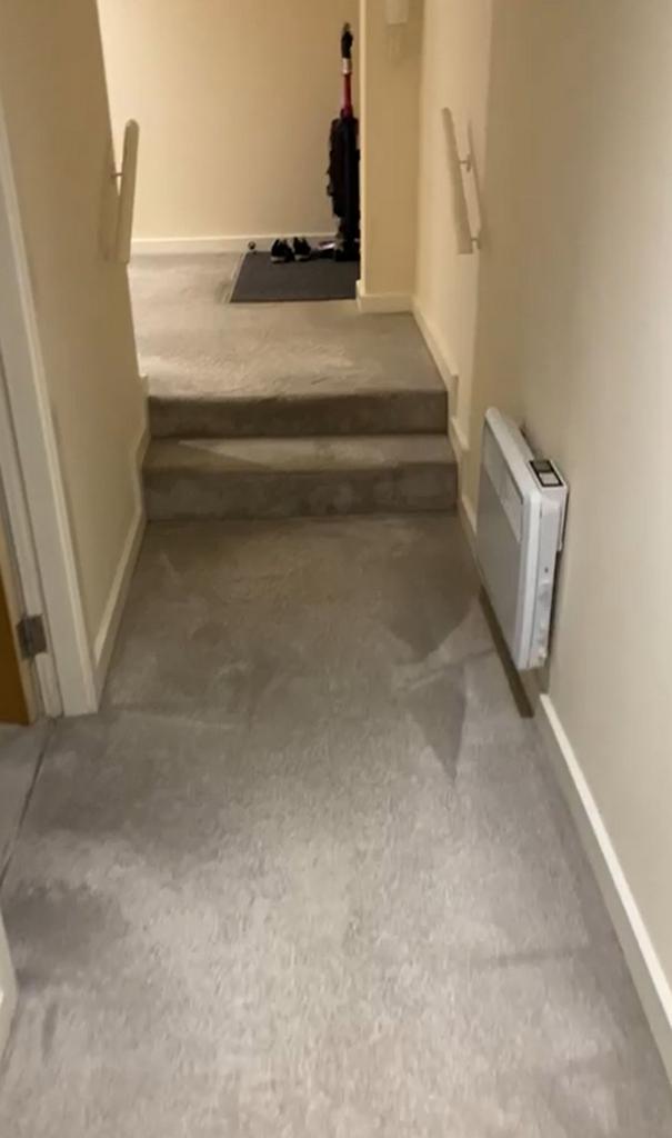 Hall steps