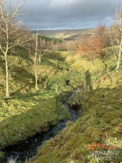 Land for sale, Nenthead CA9