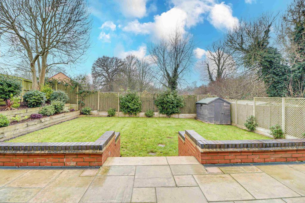 Backgarden1