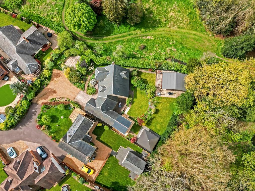 DJI 0372.jpg