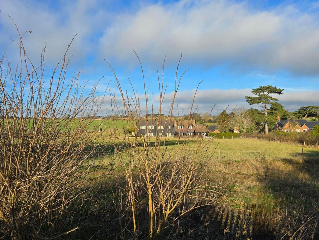 Media image 16