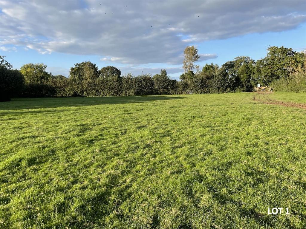 Lot 1