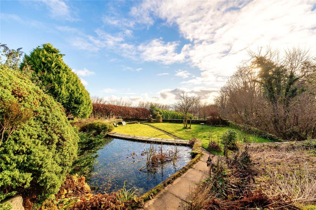 Pond
