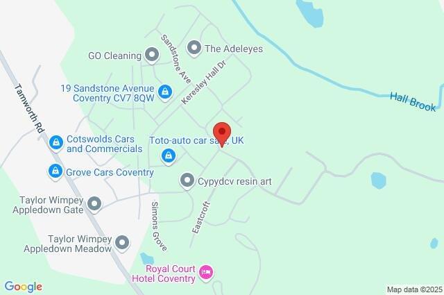 Google Maps Image