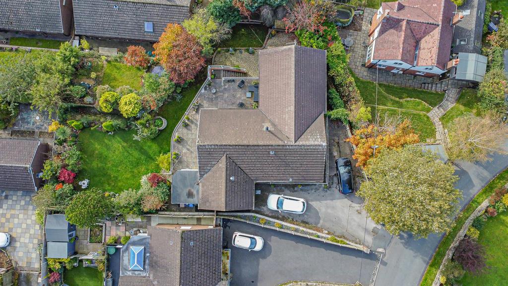 DJI 0847.jpg