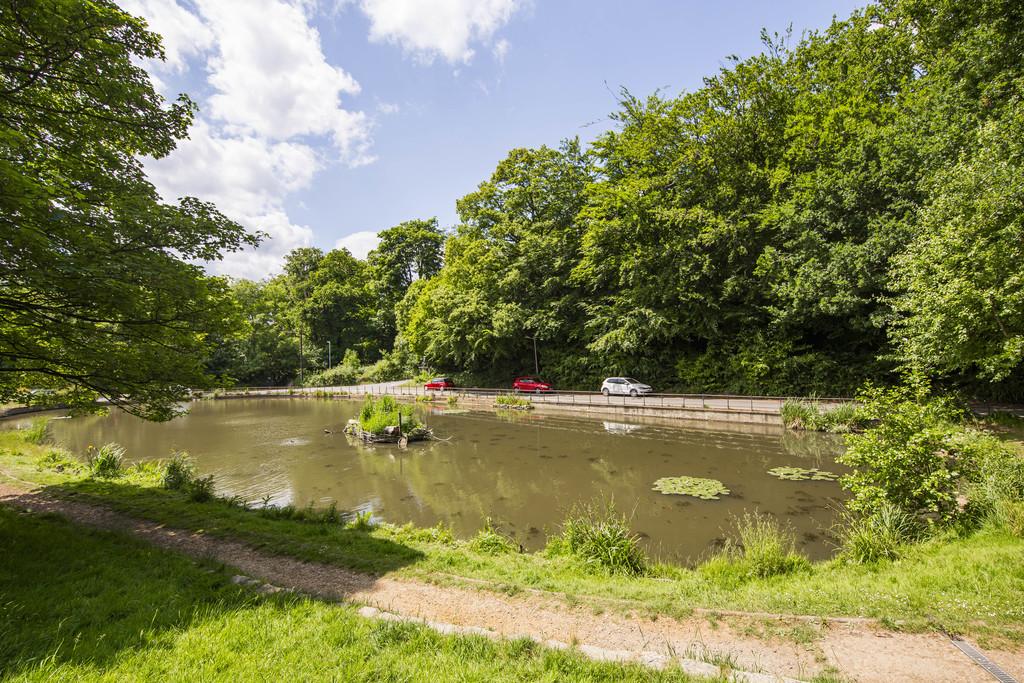 Pond 1