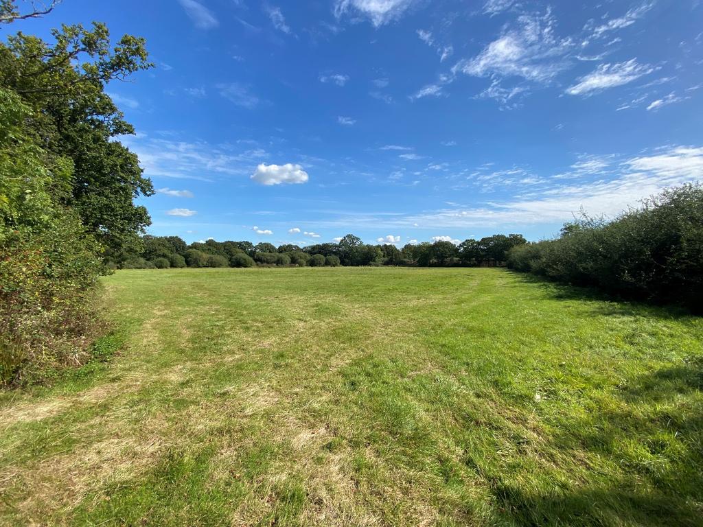 Bonnetts Lane10