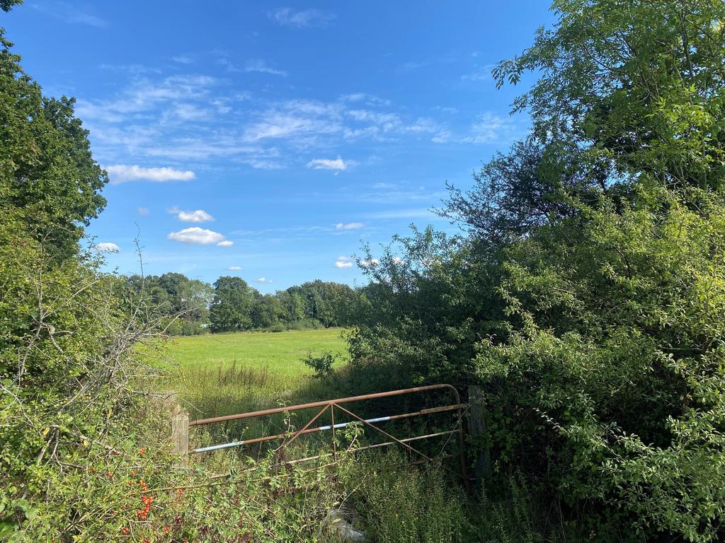 Bonnetts Lane15