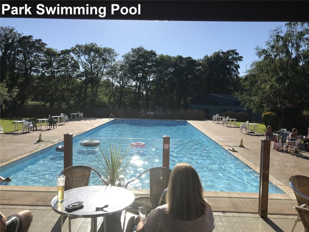 Park Swimming Pool