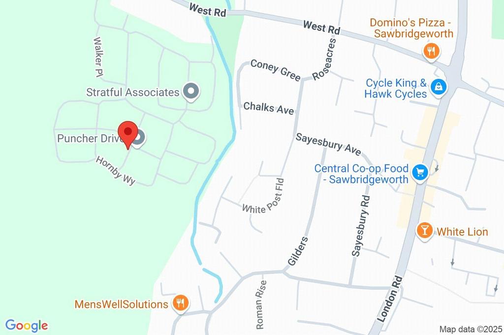 Google Maps Image