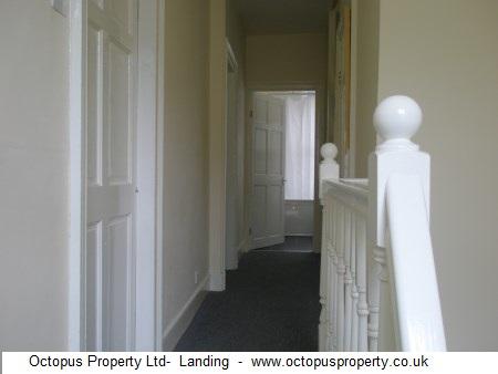 Picture 12