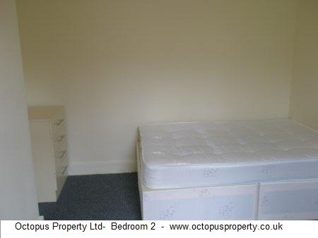 Picture 14