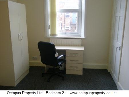 Picture 15