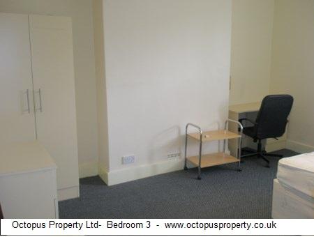 Picture 19