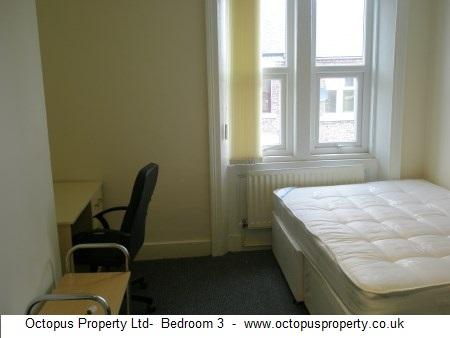 Picture 20