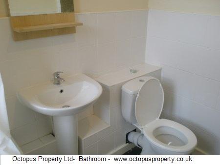 Picture 23
