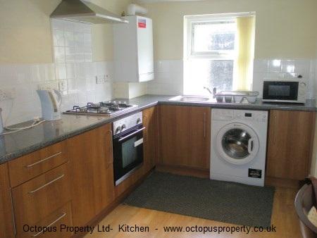 Picture 09
