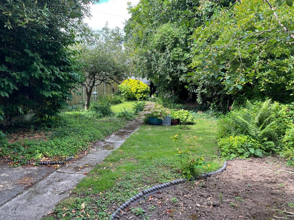 Garden 2