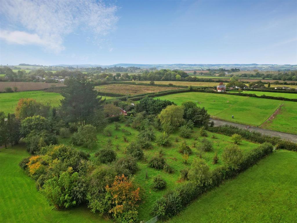 The Orchard