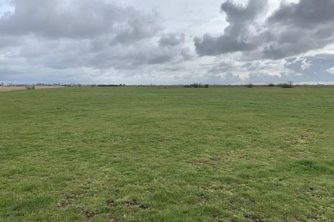 Farm land for sale, Grazing Marshes, Acle New Road, Great Yarmouth, Norfolk, NR30