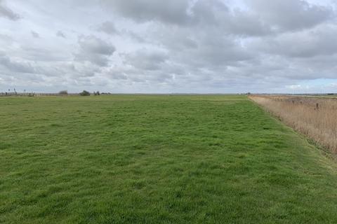 undefined, Grazing Marshes, Acle New Road, Great Yarmouth, Norfolk, NR30