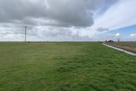 undefined, Grazing Marshes, Acle New Road, Great Yarmouth, Norfolk, NR30