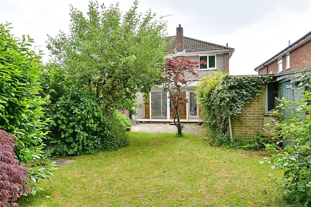 Garden 3.jpg