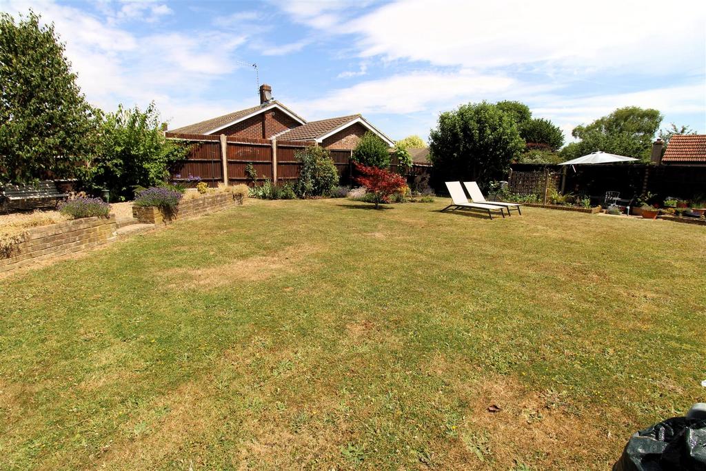 New garden1.jpg