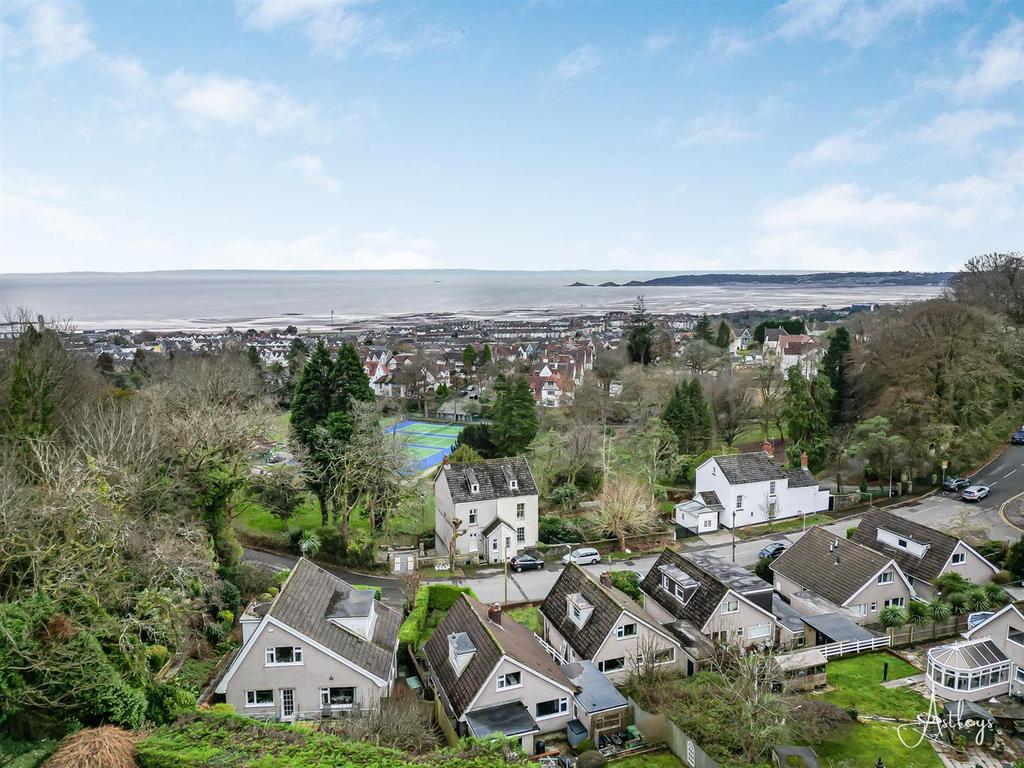 Aerial Images
