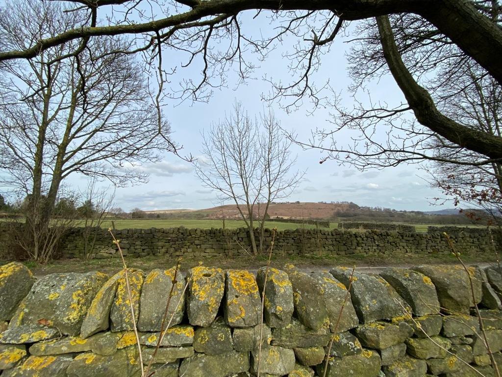 Picture No. 13