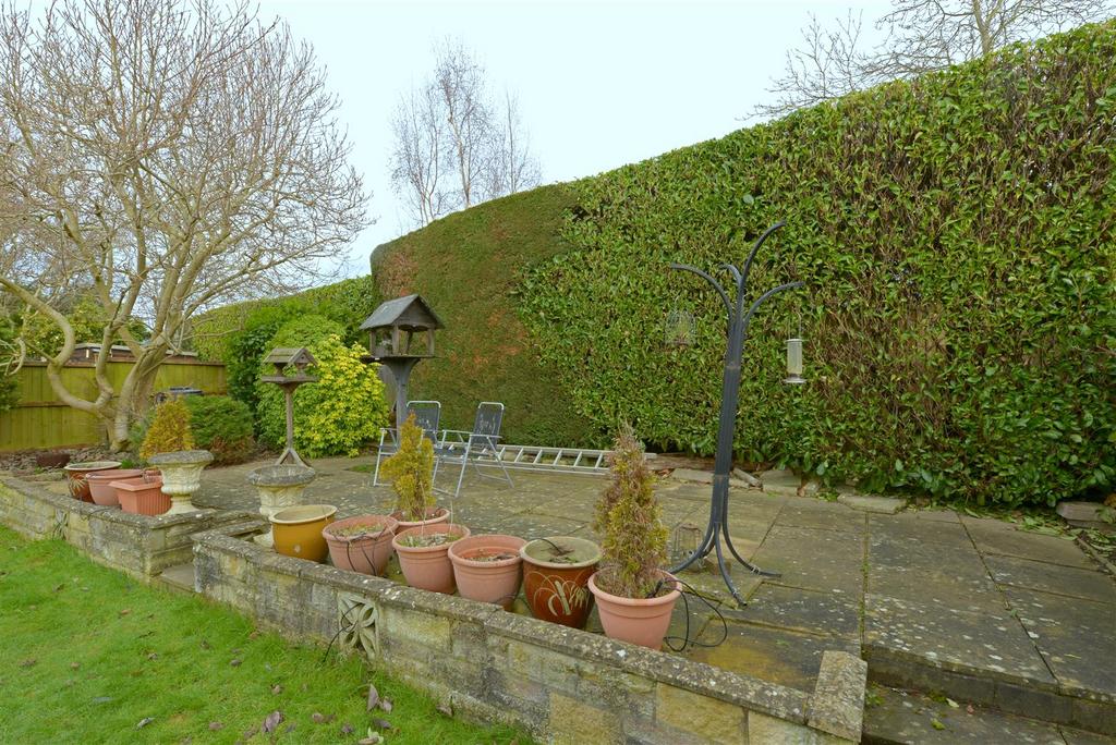 Dsc 8211.jpg