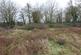 High Roding, Dunmow, CM6 photo 3