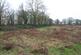 High Roding, Dunmow, CM6 photo 4