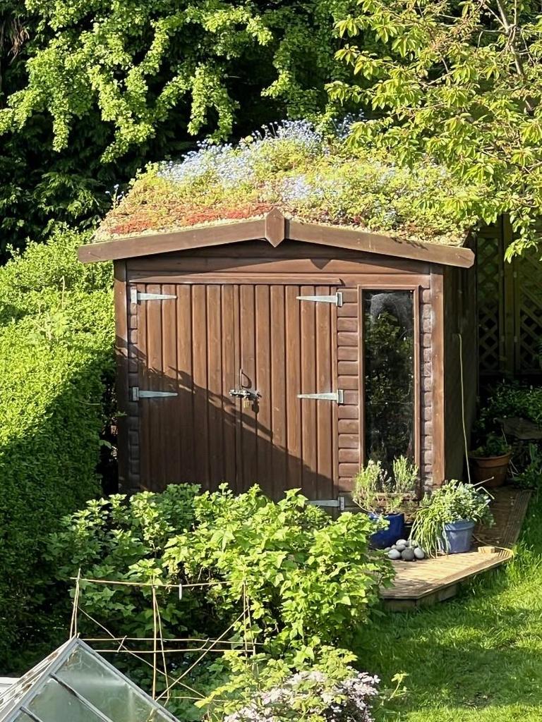 Garden 303.jpg