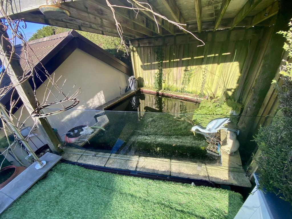 Pond