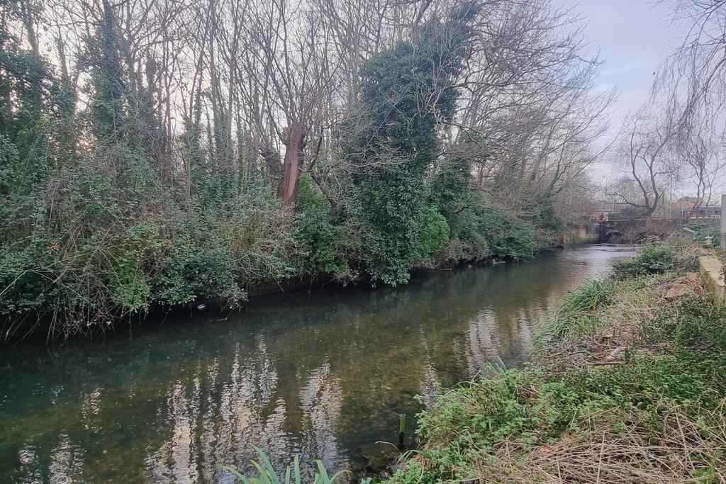 Wallington river