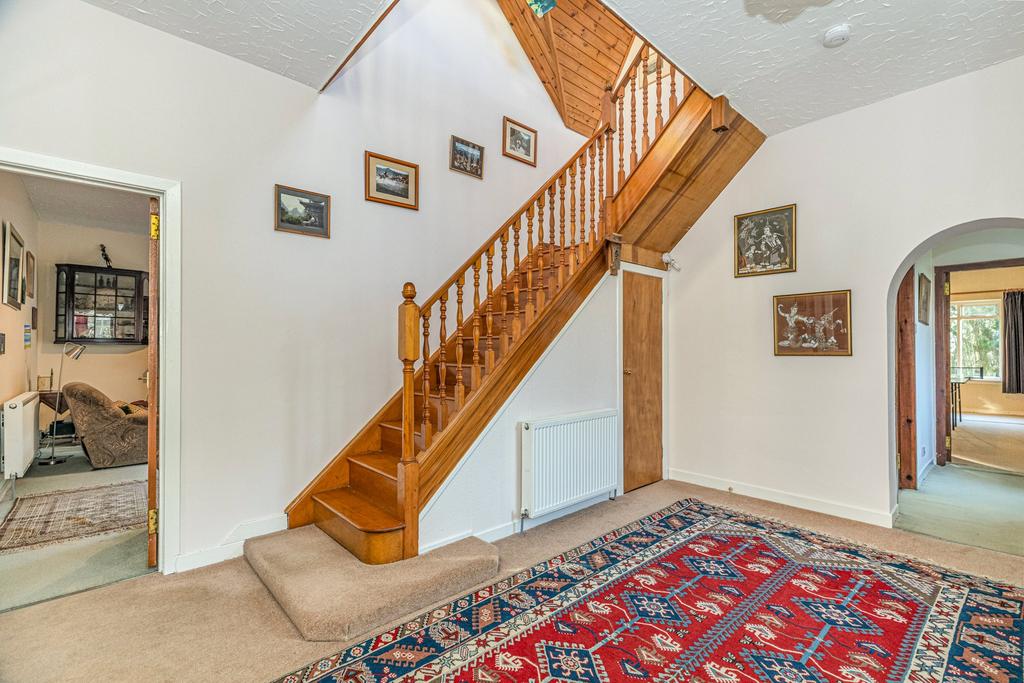 Picture 16