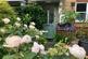 Img 20250417 wa0008