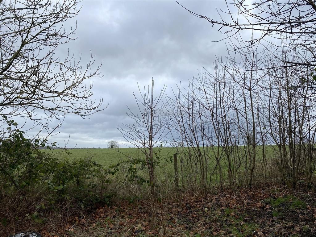 Filed Views