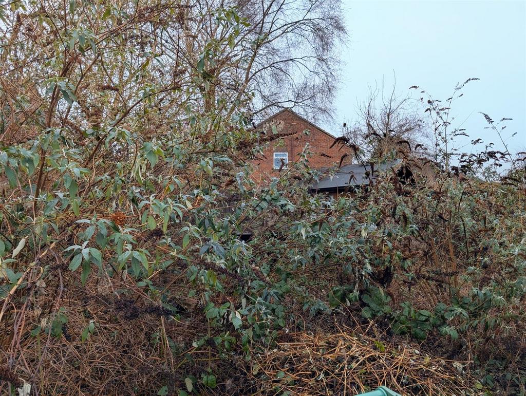 Original-479 F962 D-C238-44 DF-AF5 C-562 C77 F5 E9 E1.jpeg