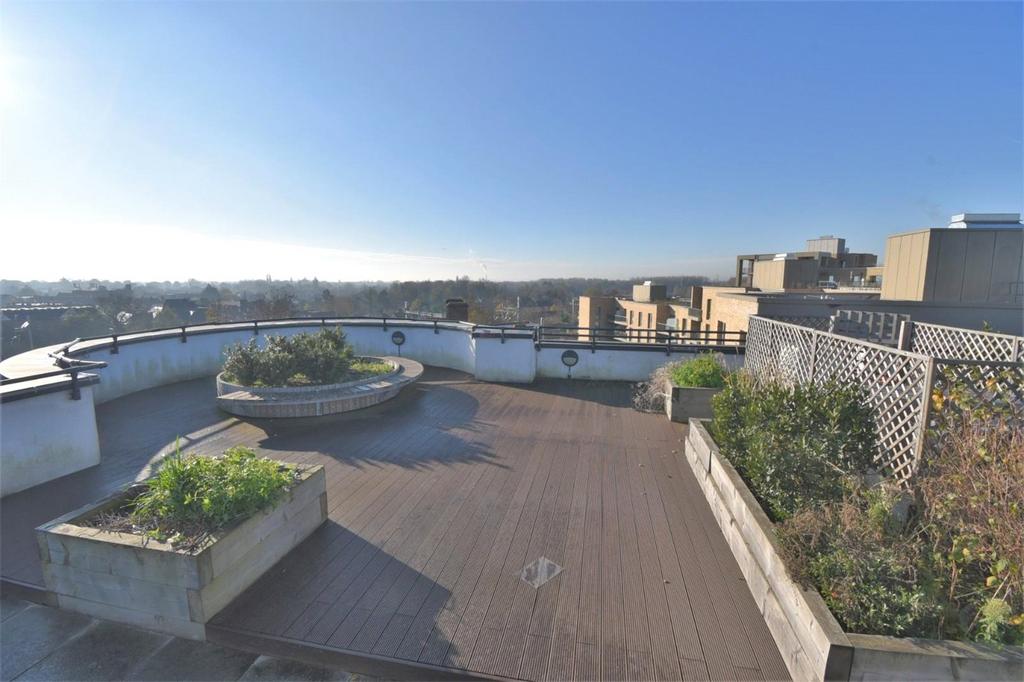 Communal Roof Garden